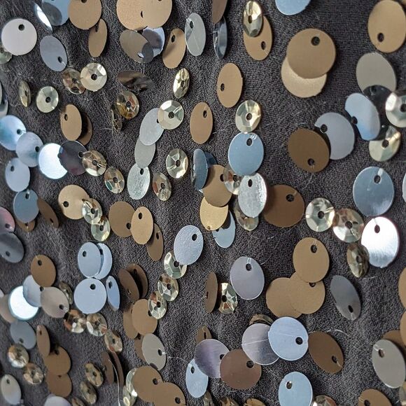 The Limited Top sz XS Grey Chiffon Sequin Front Silver Bronze Metallic Festive - Picture 8 of 9